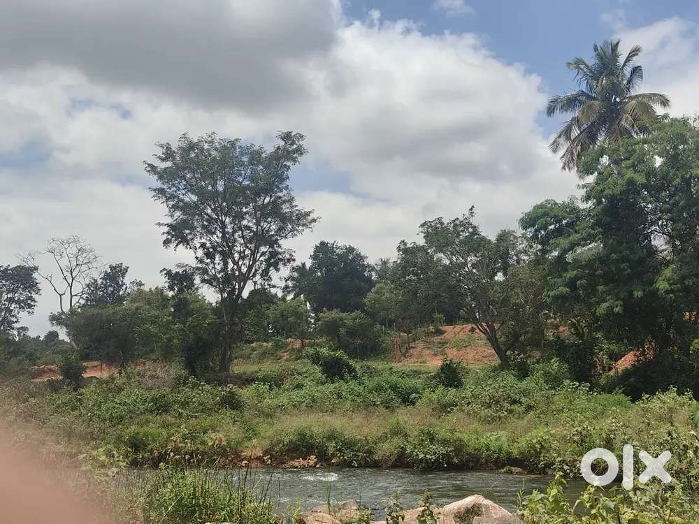 4 acres land for sell