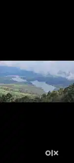 Land for Rent