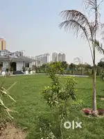 Farm Land just 65 lac near noida expressway and pari chowk