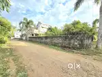 5CENT ORGINAL LAND IN ALUVA UC COLLEGE NEAR KARUMALLUR