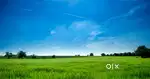 land for sale in chunni kalan