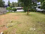 8.5 CENT ORGINAL LAND FOR SALE IN KAKKANAD NEAR NGO QUATRERS