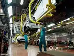 We are hiring for production checking