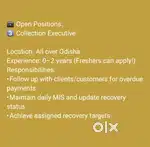 Collection executive