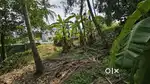 2570 Sqft (6 cent) Plot for sale in prime location. ( zero brokerage)