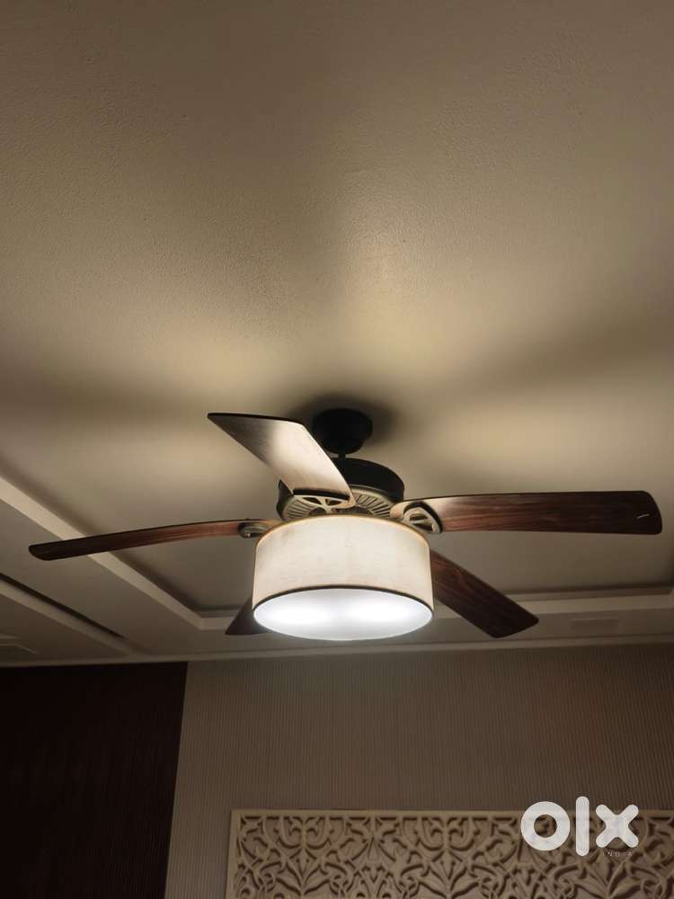 5 blade+light fan