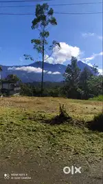 41cents of land in Munnar Chithirapuram, Aanachal, Munnar