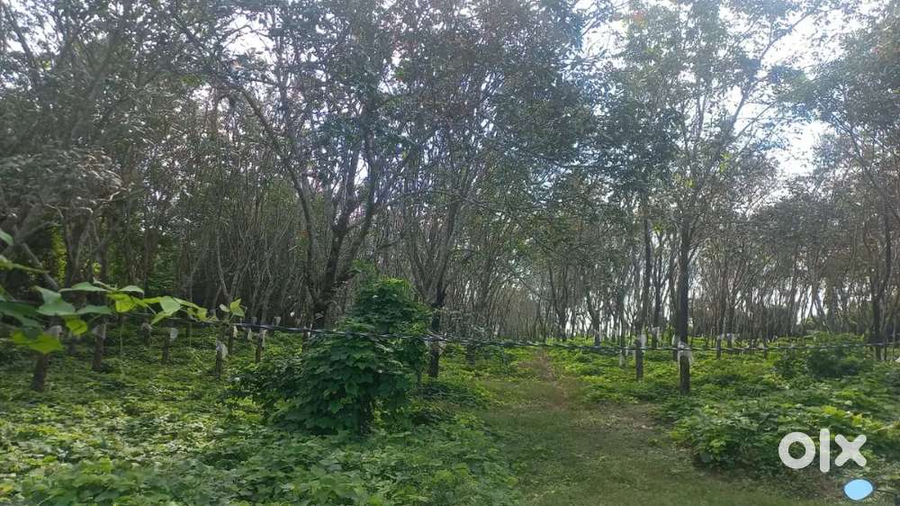 Plots for sale near Edmeru, Moodubelle - Karkala Road