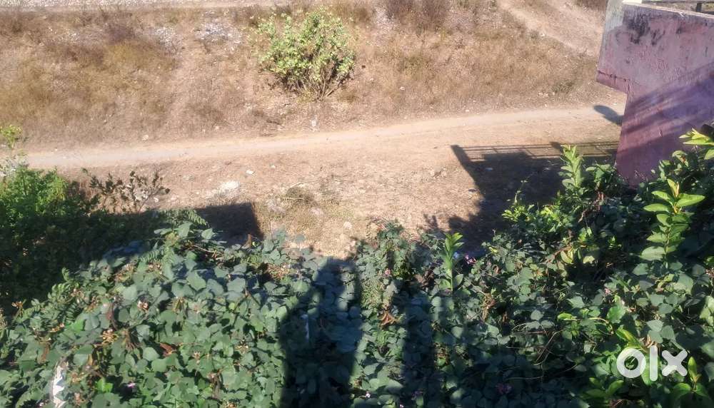 250(125 Gaj each) gaj land in Canel Road Gali no. 25. Lease land.