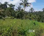 സുൽത്താൻ ബത്തേരി ടൗണിന് സമീപം 2 ലക്ഷം രൂപയ്ക്ക് സ്ഥലം