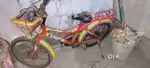 Brand new cycle