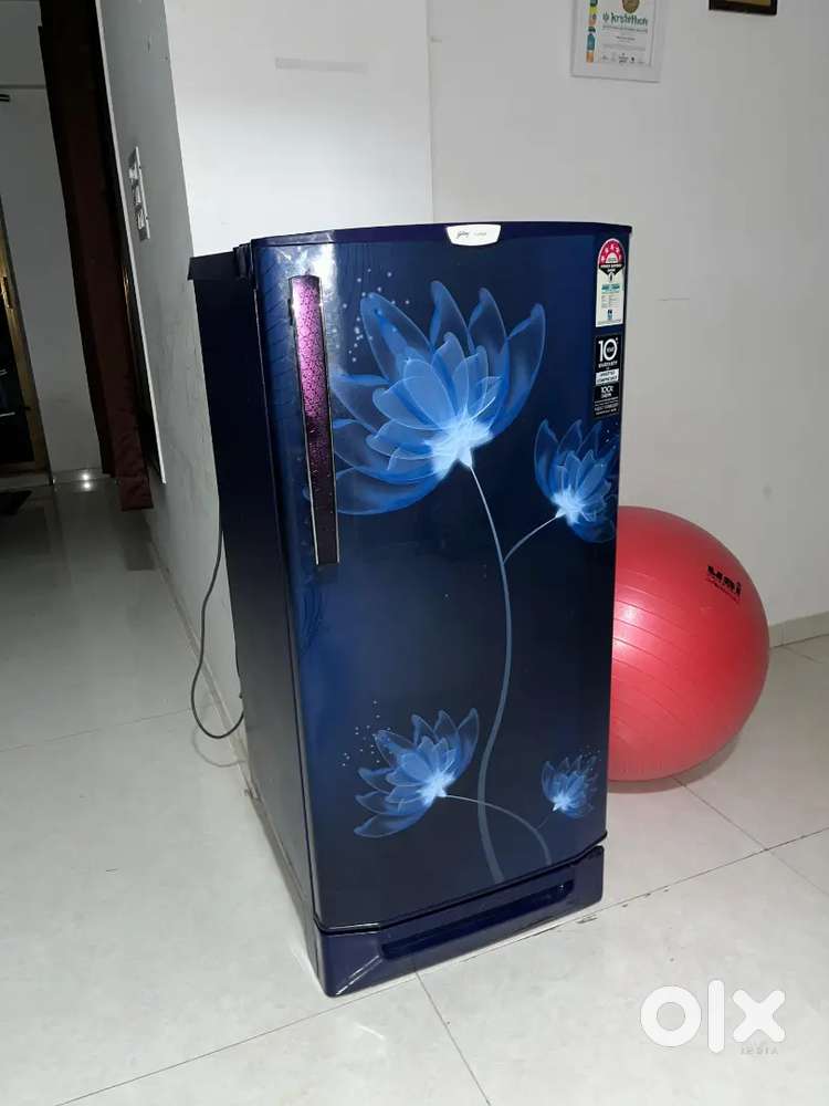 Godreg Edge Pro fridge