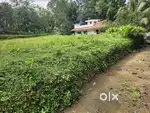 Plot for sale