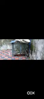Dog cage for sale