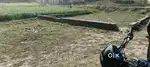 Arjent hai
