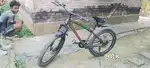 Avon  cycle