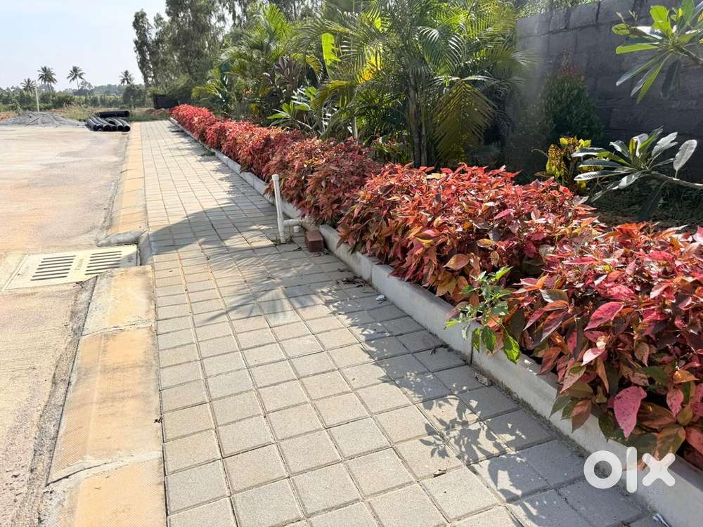 BMRDA approvs plot for sale near Sarjapura