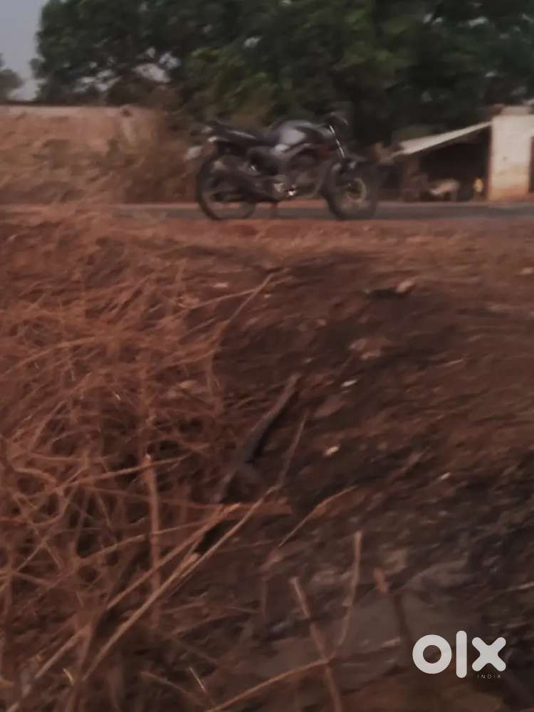 कमला कालेज सीधी में जमीन बिकाऊ