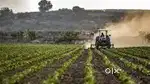 Agricultural Farm labour and work