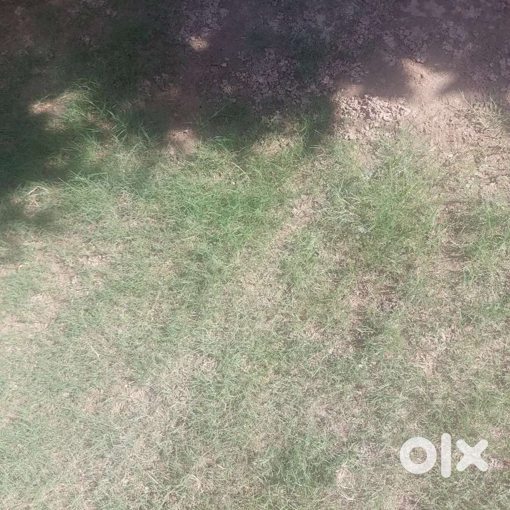 Plot for sale