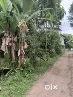 ഇരിഞ്ഞാലക്കുട Marina ഹോസ്പിറ്റലിന് അടുത്ത് 13 സെന്റ് സ്ഥലം വില്പനക്ക്