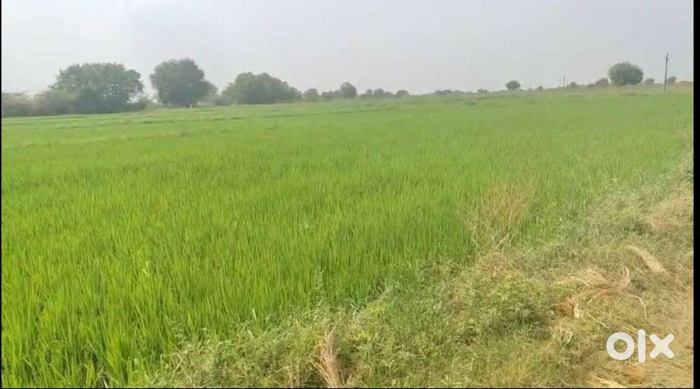 3 ACER LAND FOR SALE AT SANGAREDDY