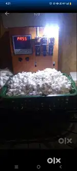 Cotton seed machine