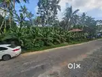 Land For Sale - Neyyattinkara - Mambazhakara