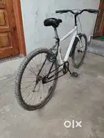 Hercules Flare Custom , Mtb, Stunt Bycycle