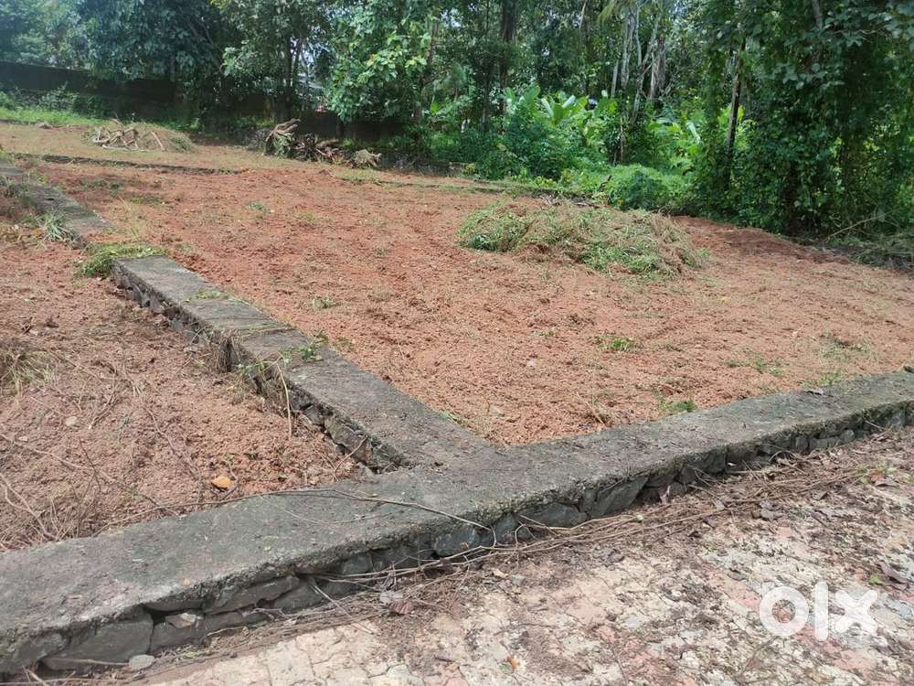 Thripunithura kottayam root 5 cent house plot for sale