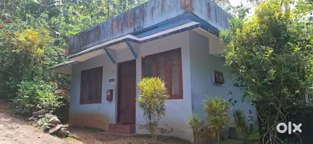 11 cent plot and a house for sale