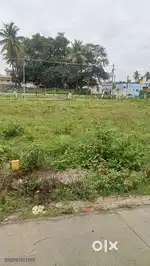TUDA E KHATA SITE ತಿರುಮಲ ಕಲ್ಯಾಣ ಮಂಟಪ ಹಿಂಭಾಗ