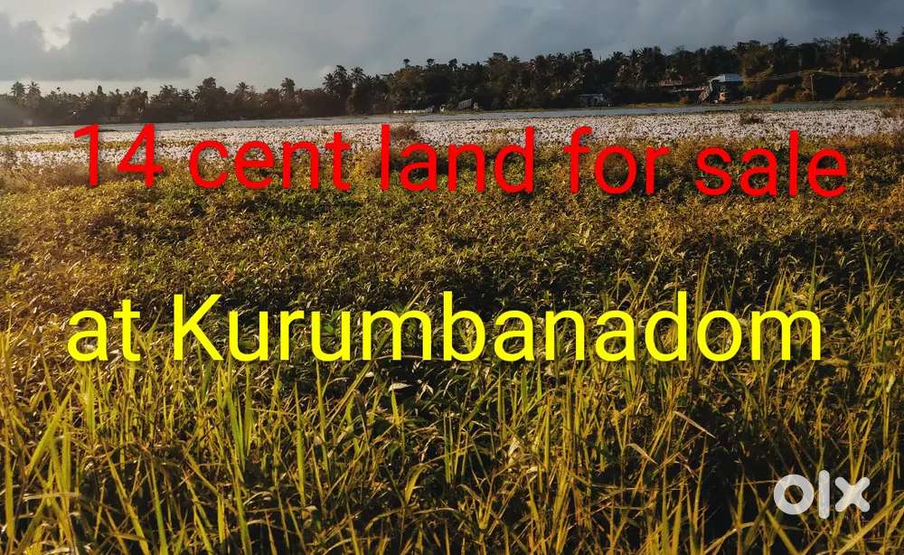 14 cent house plot for sale at Kurumbanadom