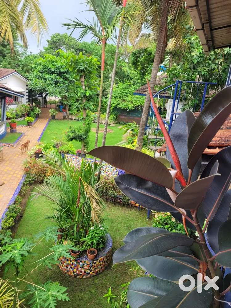 Guest house on lease