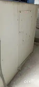 I need a female for my office work