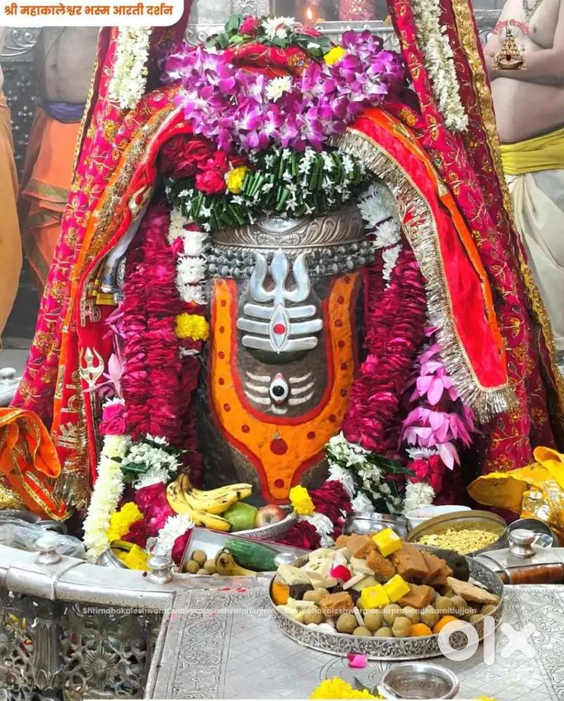 Near betul m.p. 460001