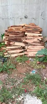 Lakdi 800 kG  8 kuntal 8rs per kg at shastripuam
