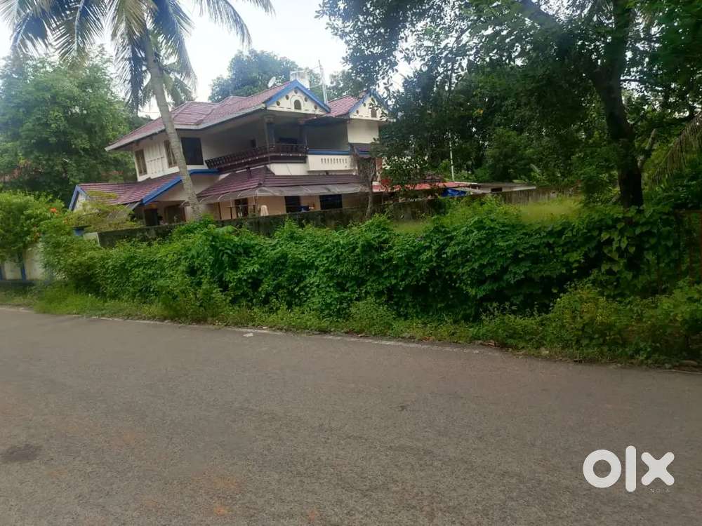 11.5 cents East facing original karabhoomi on main bus route