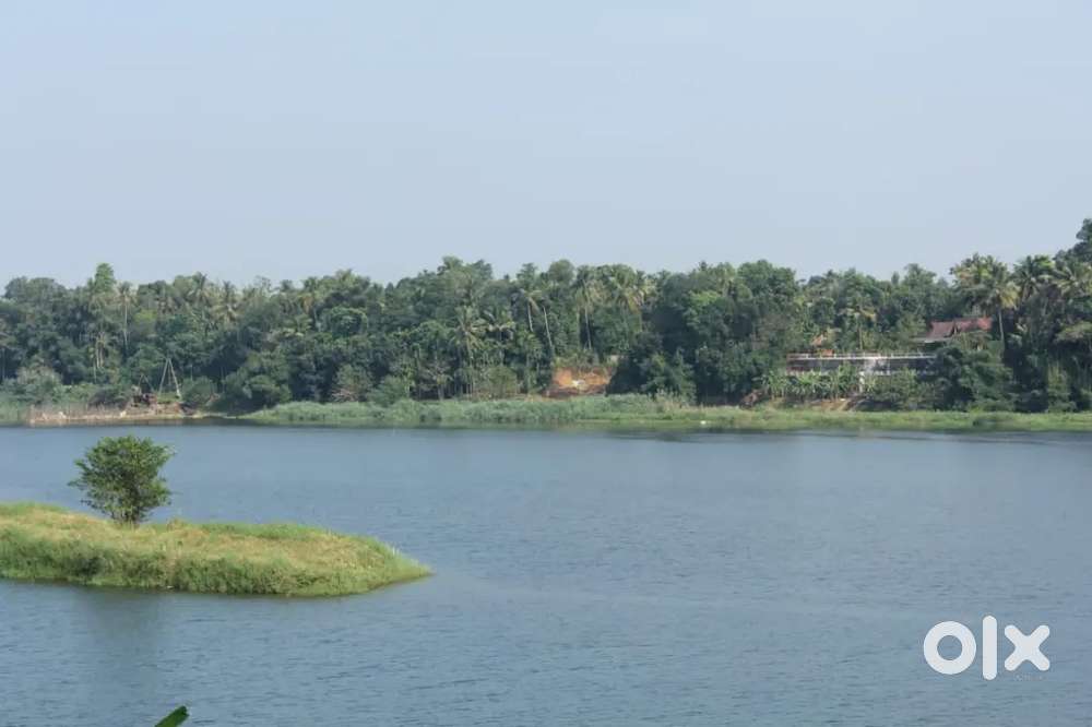 100 ACRE LAND FOR SALE AT ERNAKULAM ANGAMALY