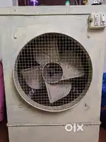 Summer Cooler