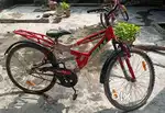Atlas cycle