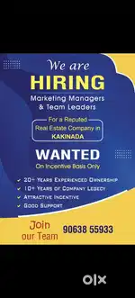 Marketing managers, sales managers