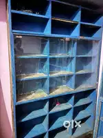 2 wooden rack