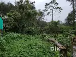 Amazing Plot, Just 200mtrs from 14th mile Pulickal kavala  Junction.