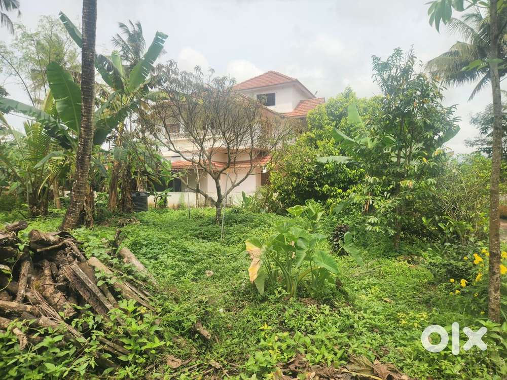 4 ACER 3550 SQFT HOME FOR SALE ,LEVEL LAND WITH DIFF SPICES,HOUSR PLOT