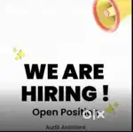 Audit Assistant(Staff Level) in Financial Sector