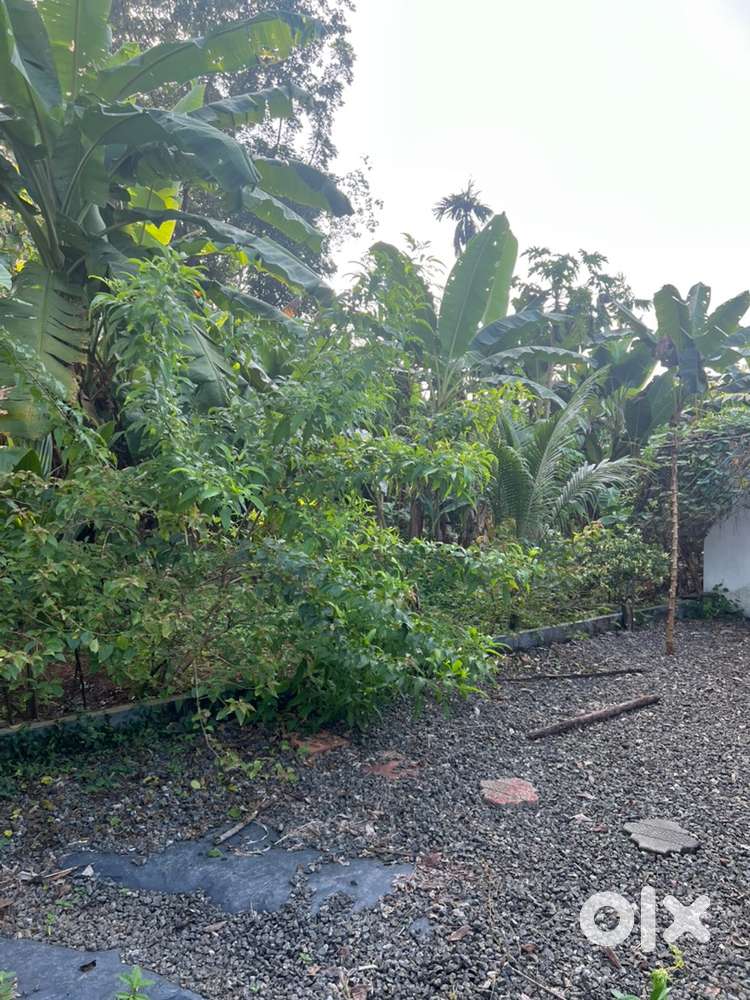 House plot for sale near Aythala -Monkuzhy junction,10/15/20 cent