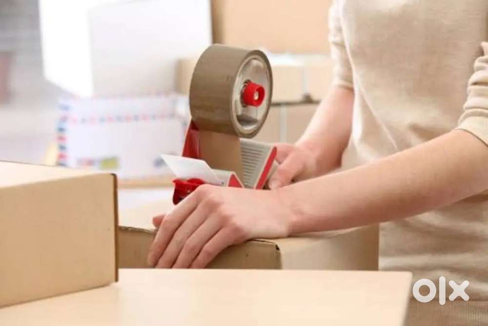 पीकिंग पैकेगीं वेयरहाउस के लिए डायरेक्ट भर्ती लिमिटेड कंपनी