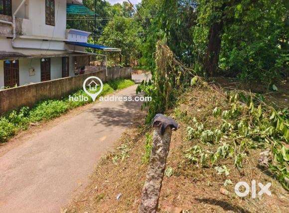 14 cent land on anchal ayur road available for immediate sale