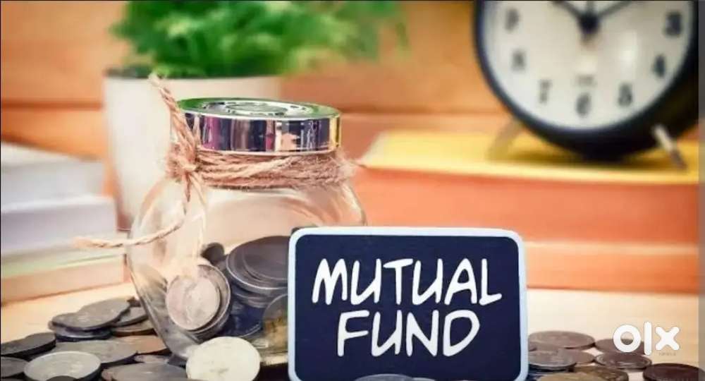 Business Consultant - Mutual fund